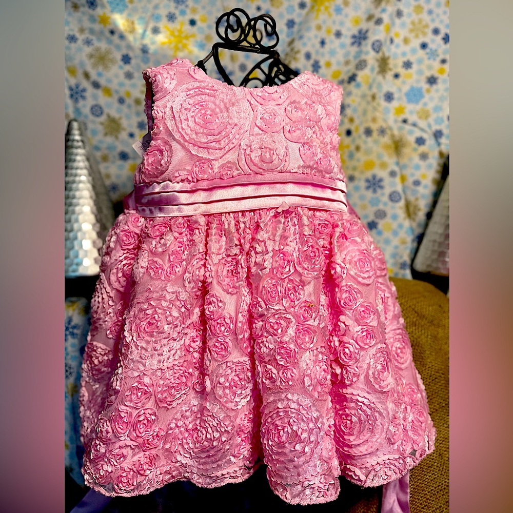 Beautiful Rose Dress Tons of details